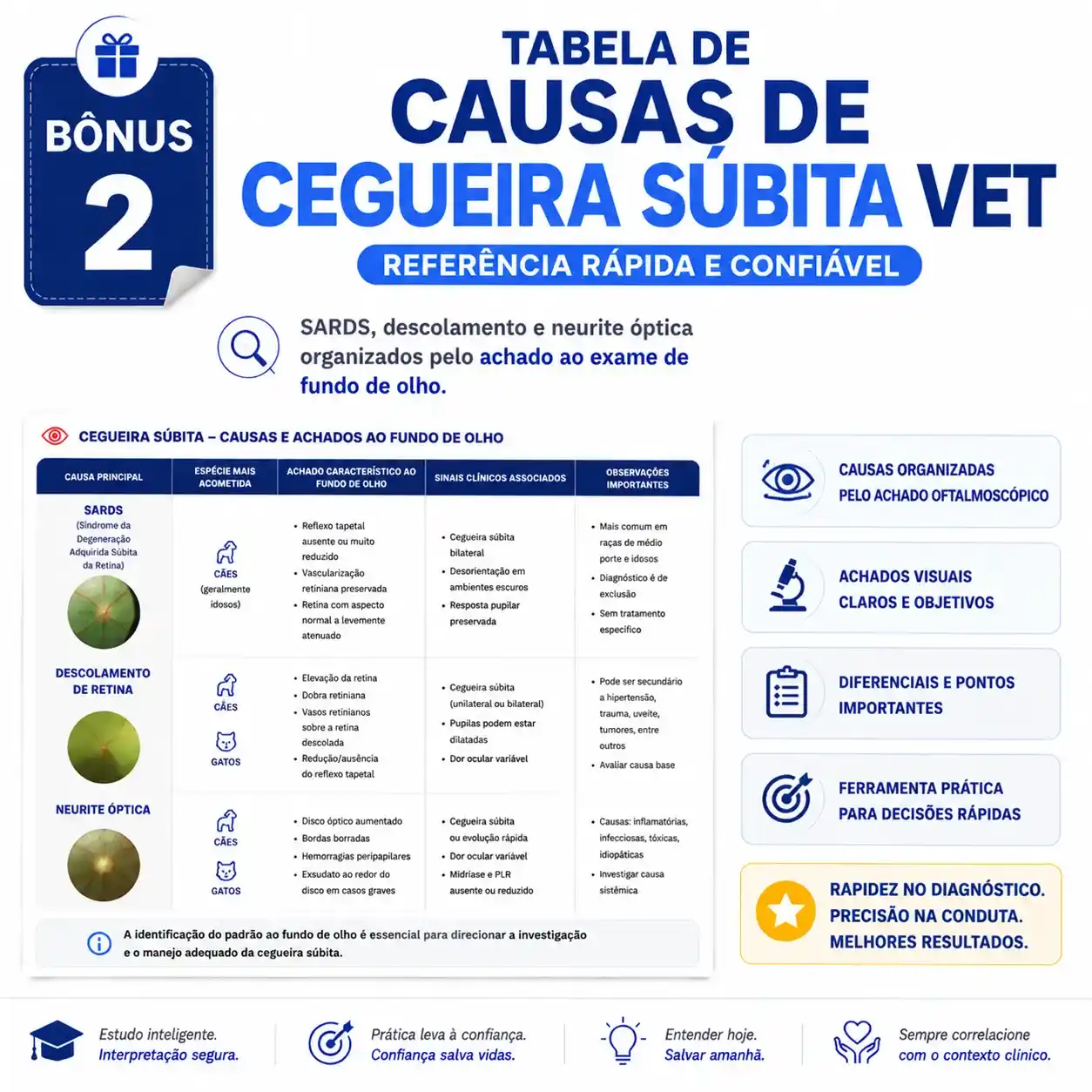 Bônus 2