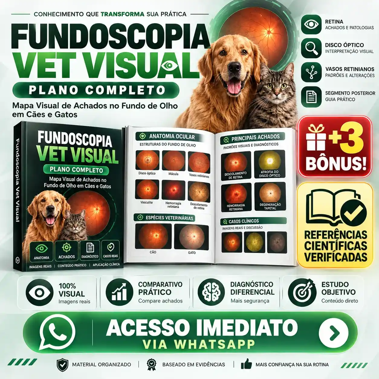 Fundoscopia Vet Visual